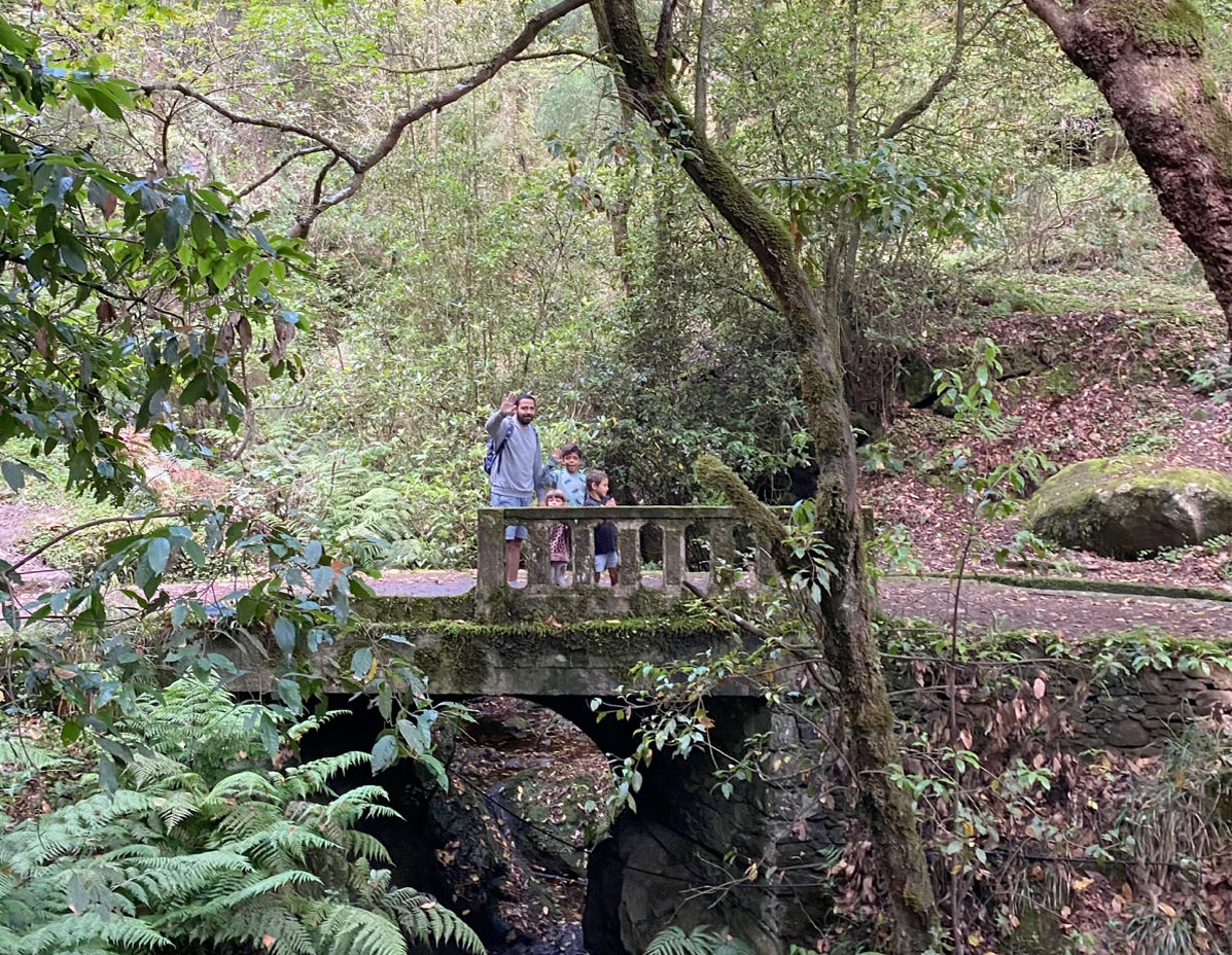 levada 03