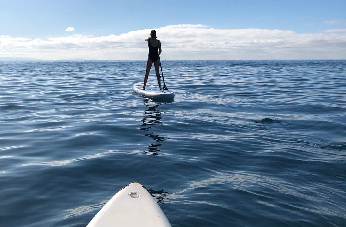 paddle 04