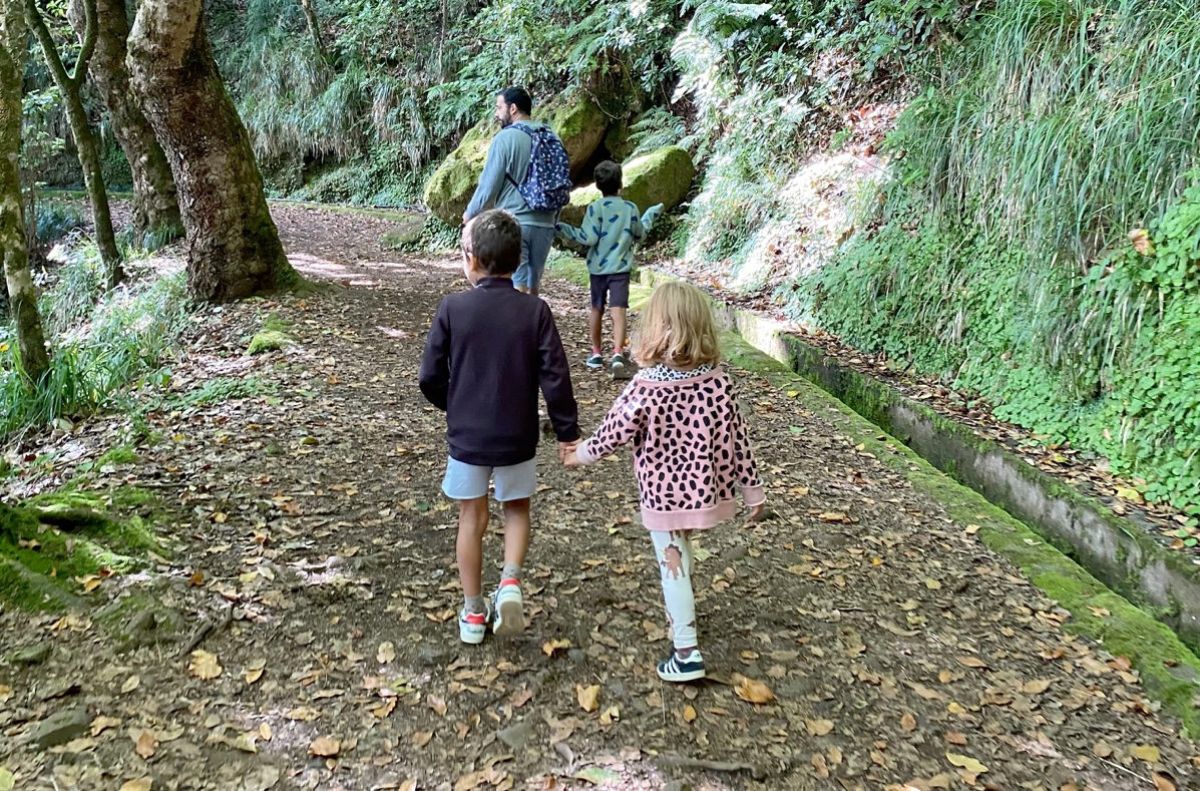 Levada walks where to start?
